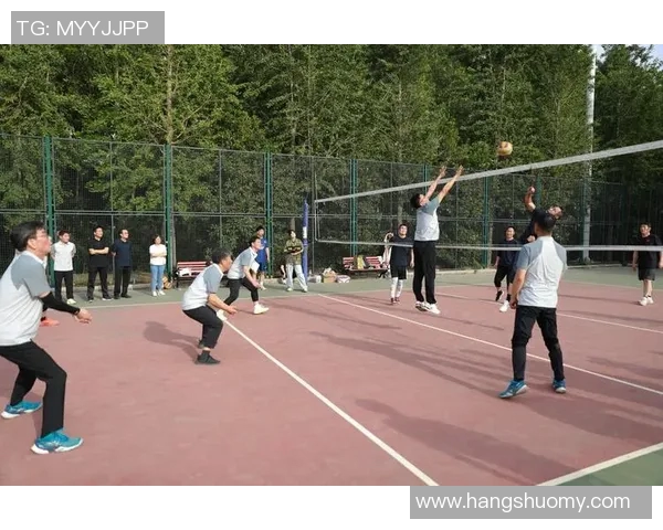 广州排球队在全国排球技术排行榜中荣获第七名的佳绩分析与展望