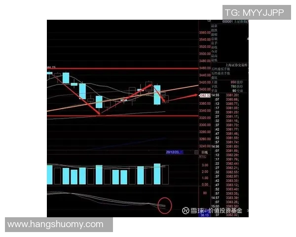 杭州羽毛球队在洲际杯中的速度表现分析与点评