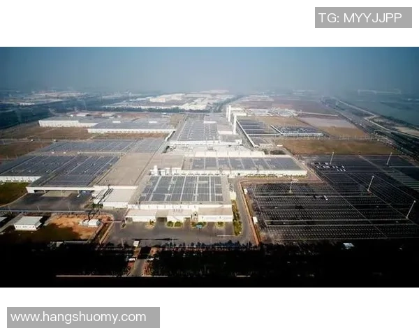 武汉篮球队的崛起之路洲际杯特别报道见证成长与荣耀