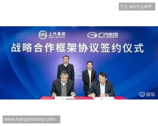 飞盘焦点：西安飞盘队的团队协作探讨